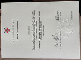 Superb tips about making Royal Veterinary College degree.