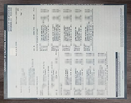 How to make a copy of my UC Riverside transcript look realistic?