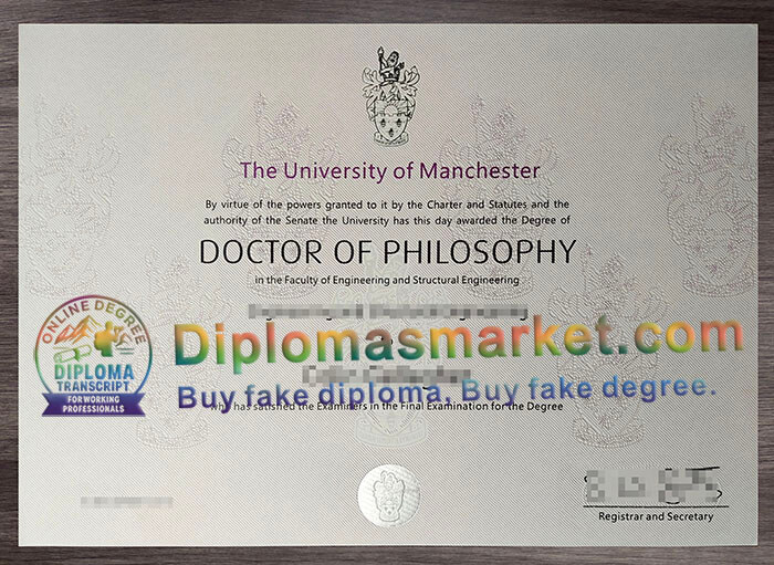 University of Manchester degree