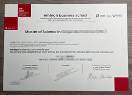 The Key To Successful Get A Emlyon Business School diploma.