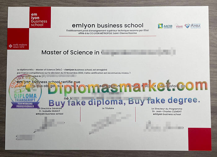 Emlyon Business School degree