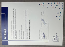 Fool-proof ways to obtain a NHL Stenden Hogeschool diploma online