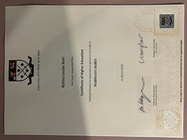 Why Should I Get a Plymouth Marjon University diploma online