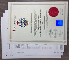 Can I obtain a copy of my UCSI University degree online?