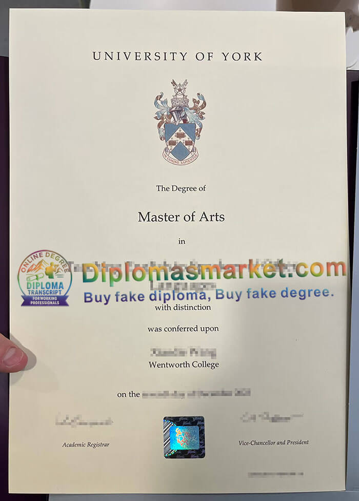 University of York degree