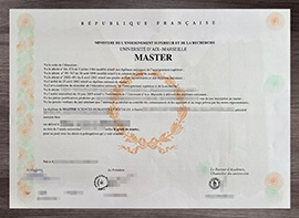 The reasons to obtain a Université d’Aix Marseille degree.
