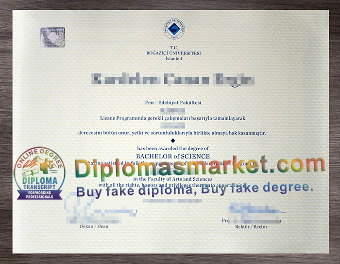 Boğaziçi Üniversitesi degree