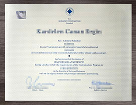 Attractive prize to make a Boğaziçi Üniversitesi diploma online.