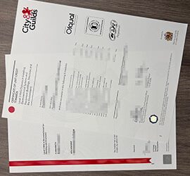 Can I Order a City and Guilds Level 3 NVQ transcript online?