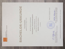 EUFH Hochschule für Gesundheit Soziales und Pädagogik degree