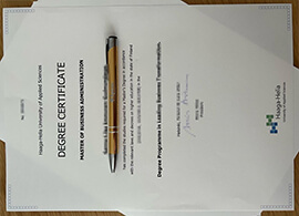 Replica Haaga Helia University of Applied Sciences diploma.