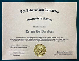 Copy International Veterinary Acupuncture Society certificate