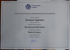 Fix Your Career Gap with an Universiteit Leiden diploma Copy