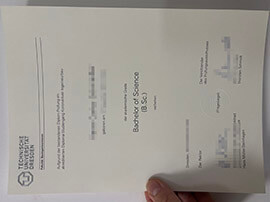 How Can I Apply for a Technische Universität Dresden Urkunde