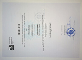 3 Pro tips to make a Technische Universität Wien diploma.