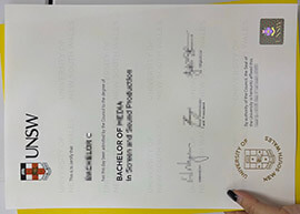 Copy of my University of New South Wales diploma in 2026.