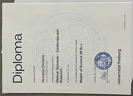 Practical Tips for Get a Universität Freiburg diploma online