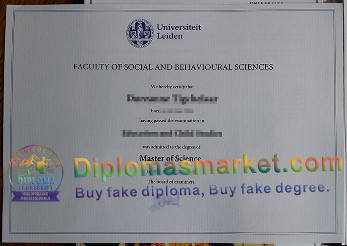 Universiteit Leiden degree