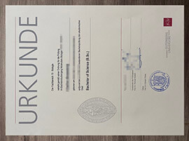 Sell a replica Johannes Gutenberg Universität Mainz degree.