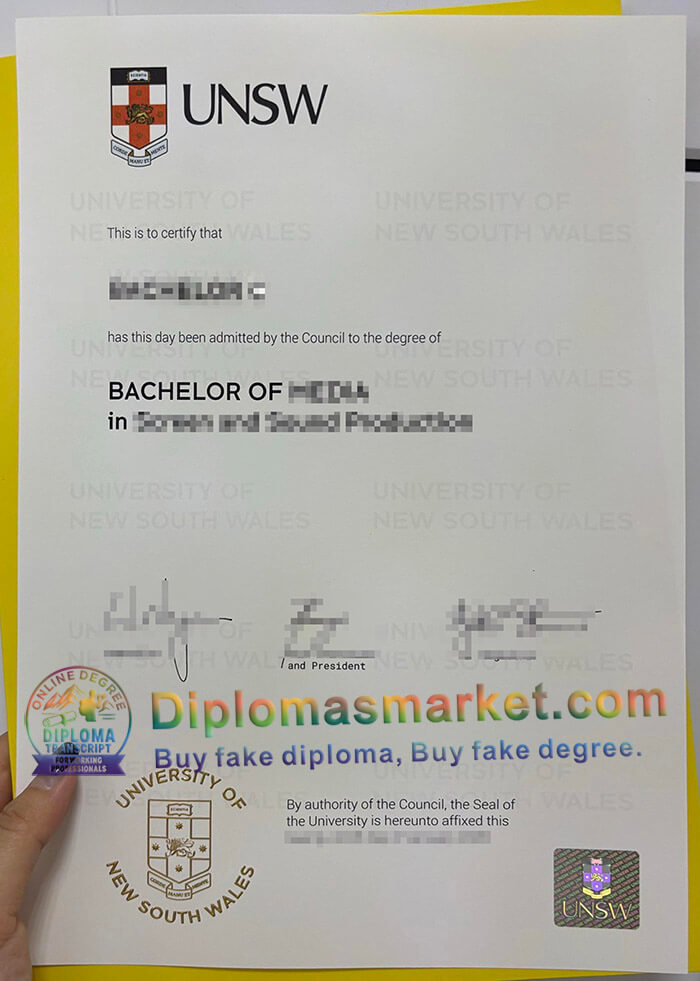 University of New South Wales degree