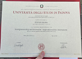 Where Can I Apply for a Università degli Studi di Padova degree?