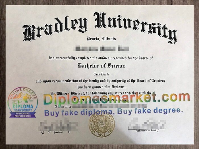 Bradley University degree