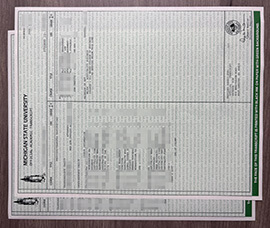 Little known ways to get a Michigan State University transcript
