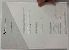 Principles for duplicating a Maastricht University diploma online.