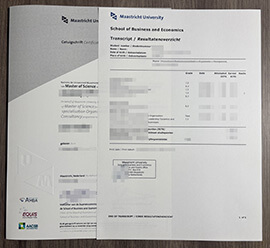 The rates to make a Maastricht University transcript online.