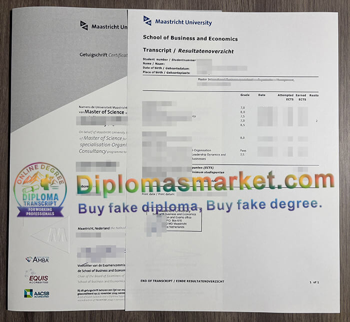 Maastricht University degree