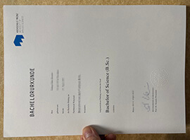 How many days does it take to buy a Hochschule Mainz degree?