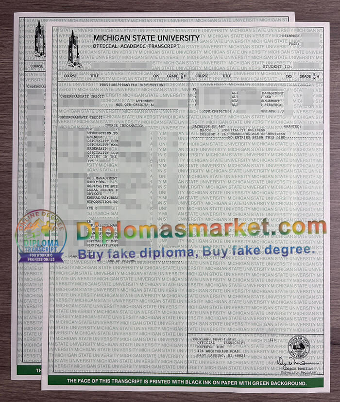 Michigan State University degree
