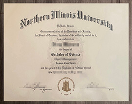 Brilliant way to get a Northern Illinois University diploma.