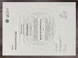 Elevate Your Education with Universität Ulm Urkunde Copy.