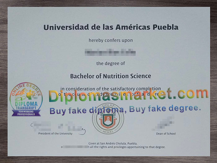 Universidad de las Américas Puebla degree