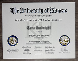 Common ways to order a University of Kansas diploma online.