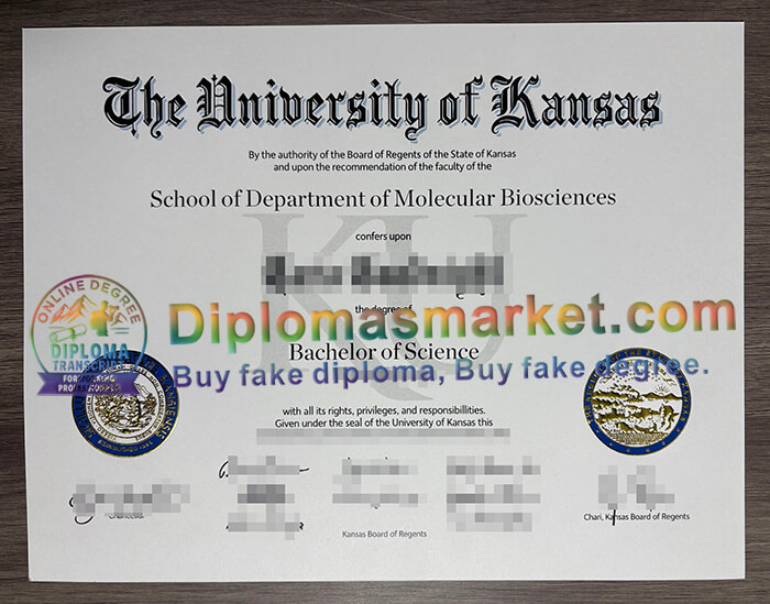 University of Kansas degree