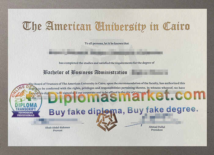 American University in Cairo degree