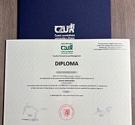 Custom Czech University of Life Sciences Prague degree and cover