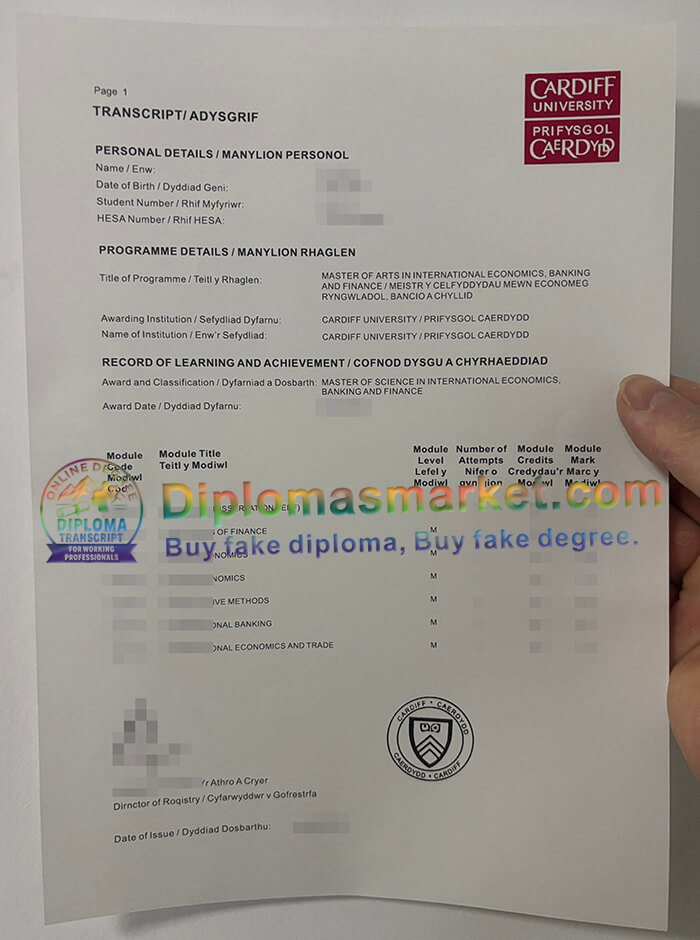 Cardiff University degree