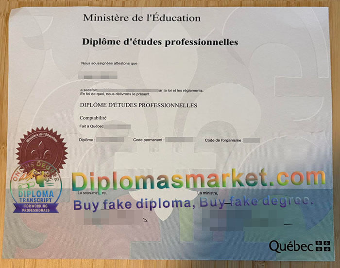 Diplôme d'études professionnelles certificate