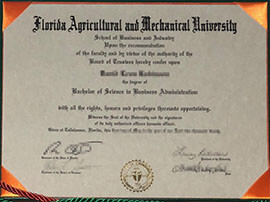 How to Buy Florida Agricultural and Mechanical University diploma
