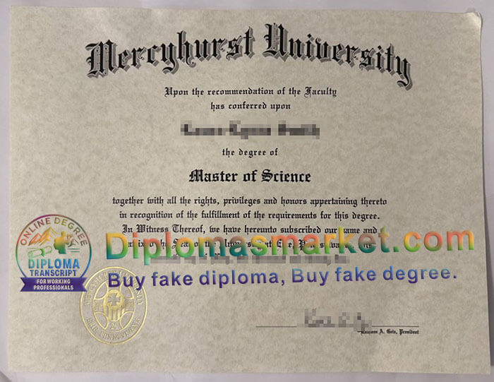 Mercyhurst University degree