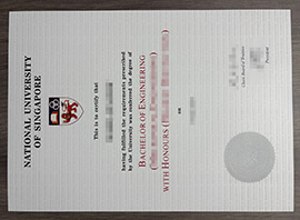 How to Make a National University of Singapore diploma Copy Online