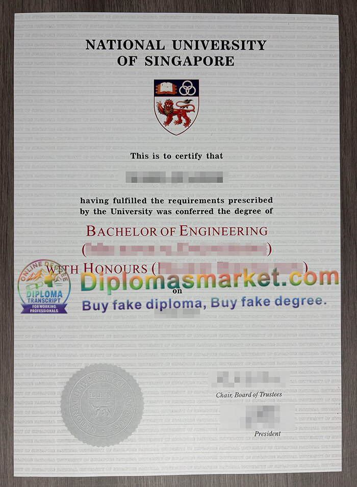 National University of Singapore degree