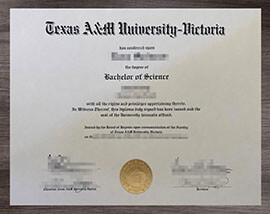 Order a Precision Texas A&M University Victoria diploma Copy Online