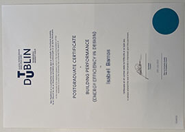 Create a Technological University Dublin degree Copy Online.
