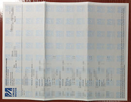 How to Customize a UMass Boston transcript and envelope copy?