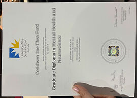 Tips to get a University of the Sunshine Coast diploma online