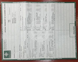 Copy Your University of San Francisco transcript Online Easily
